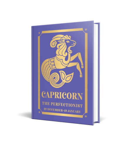 Capricorn: The Perfectionist